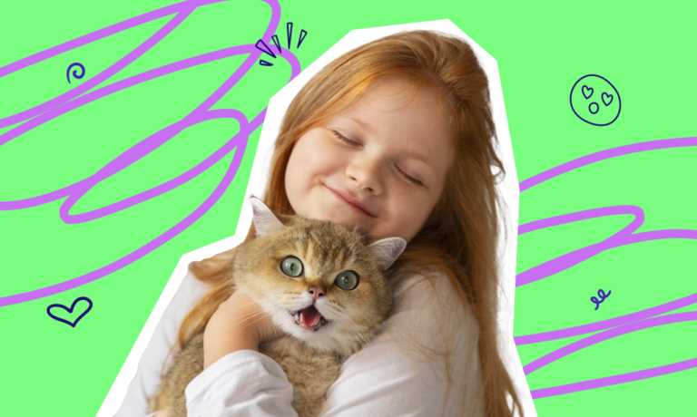 Evde kedi beslemenin faydaları ve zararları neler? Kedi sahiplenmek için ne gerekir? Kedi sahiplenmek hakkında her şey!